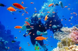 Diving-în-sharm-el-sheikh