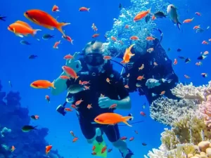 Diving-în-sharm-el-sheikh