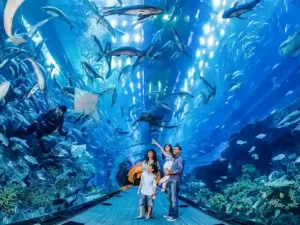 Excursie-la-Hurghada-Grand-aquarium-Hurghada-Marele-acvariu-în-Hurghada