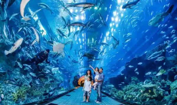 Excursie-la-Hurghada-Grand-aquarium-Hurghada-Marele-acvariu-în-Hurghada