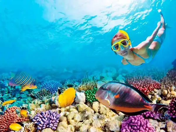 snorkeling-hurghada