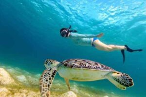 Excursii în Hurghada