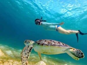 Excursii în Hurghada