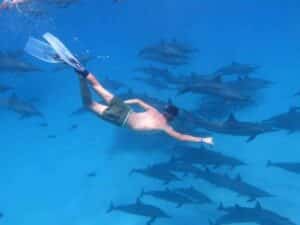 excursii în Marsa Alam