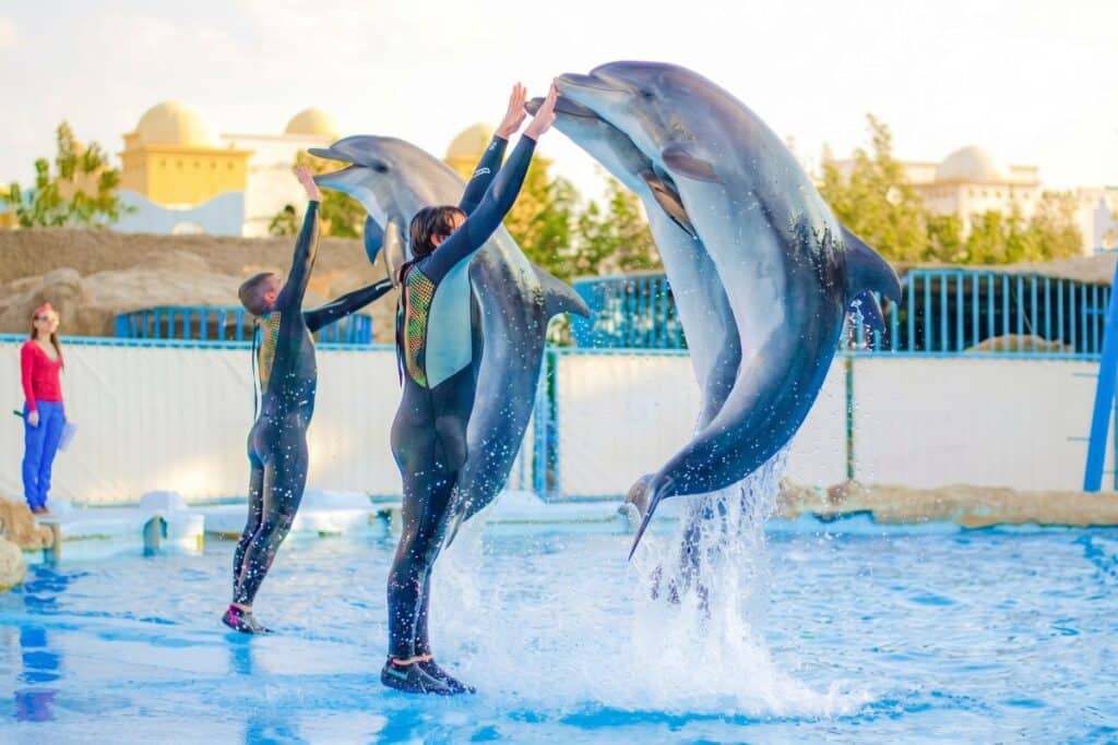 Dolphinarium Hurghada