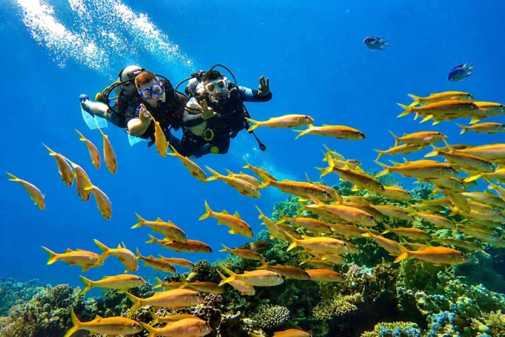 Scufundări în Hurghada