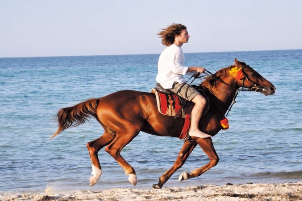 Călărie în Hurghada