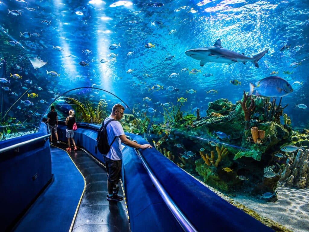 Hurghada Grand Aquarium